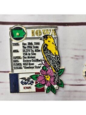 Iowa State Souvenir Magnet With Eastern Goldfinch & Wild Rose Design